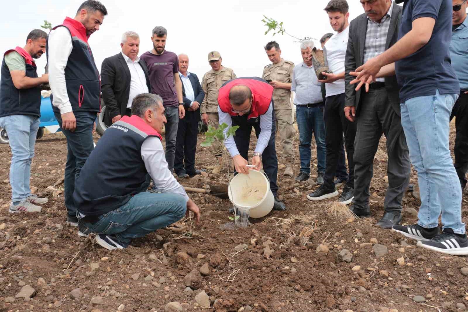 2025/05/cizrede-25-milyon-tl-degerinde-50-ciftciye-verilen-badem-ve-fistiklarin-dikimi-yerinde-inceleme-20250506AW44-1.jpg