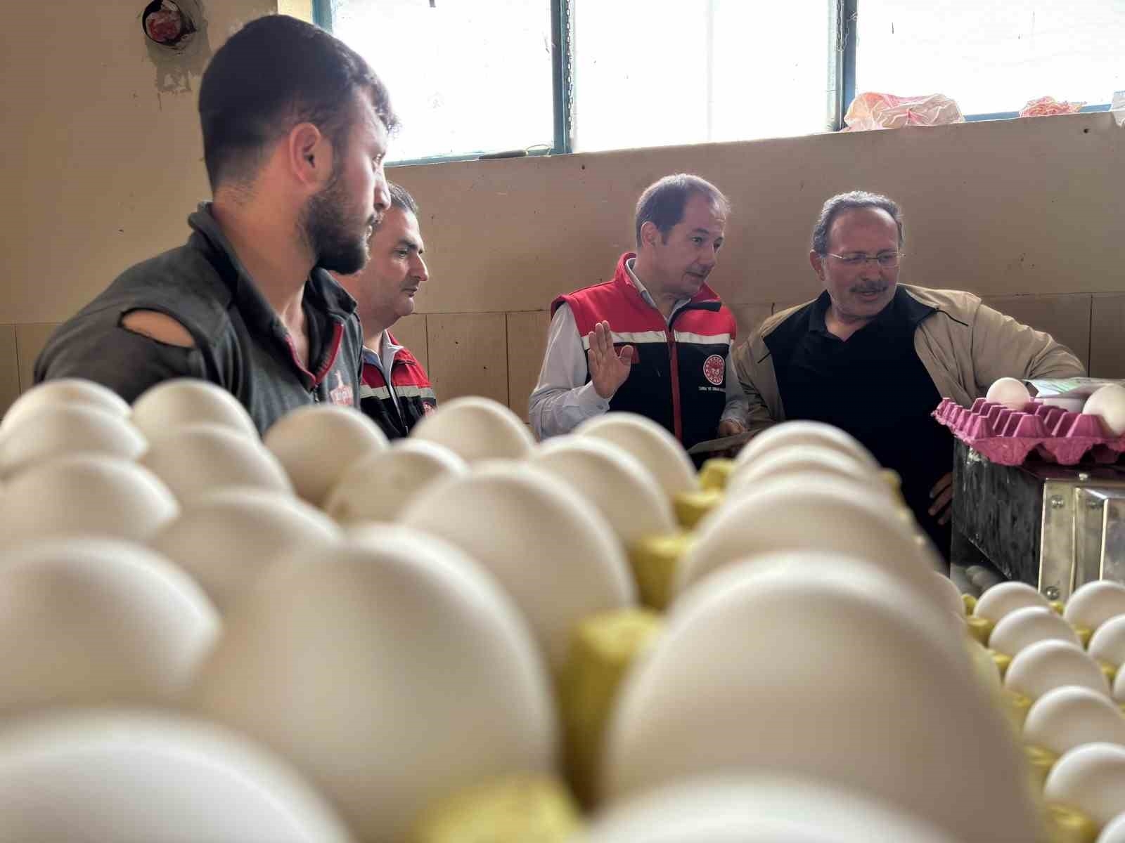 2025/05/erzincanda-kanatli-sektoru-buyuyor-yumurta-tavukculuguna-yeni-yatirimlar-20250518AW45-1.jpg