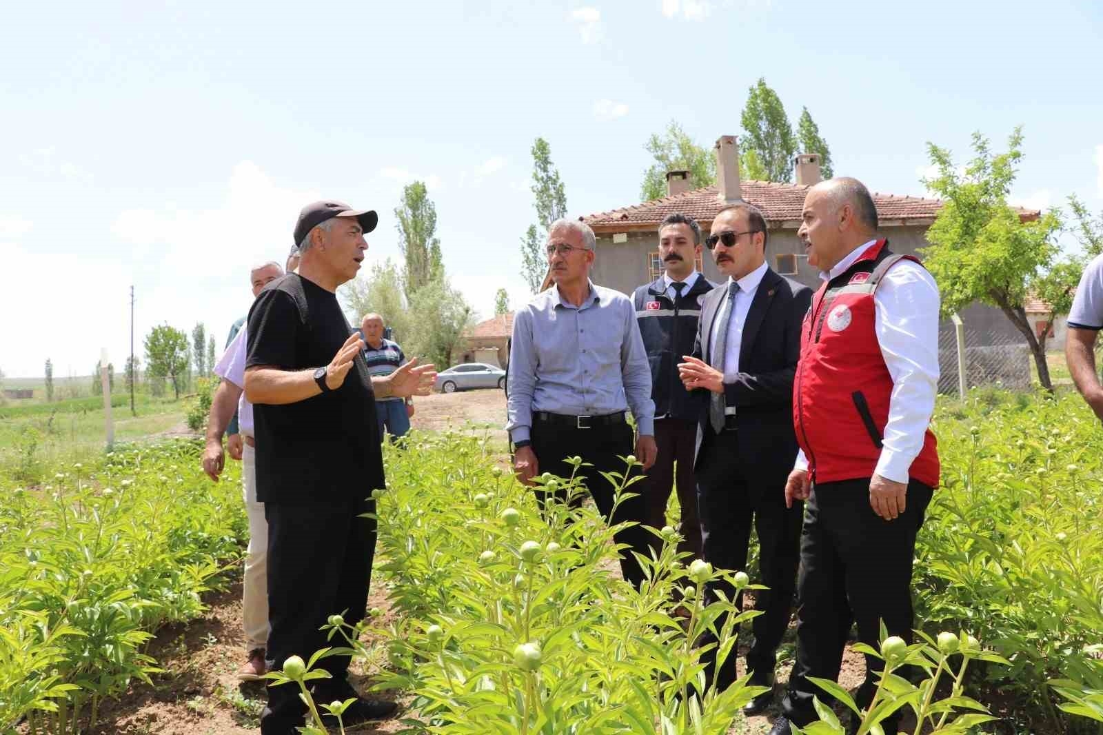 2025/05/gemerek-sakayikla-renklendi-hasat-sezonu-basladi-ekonomik-katki-bekleniyor-20250527AW46-1.jpg
