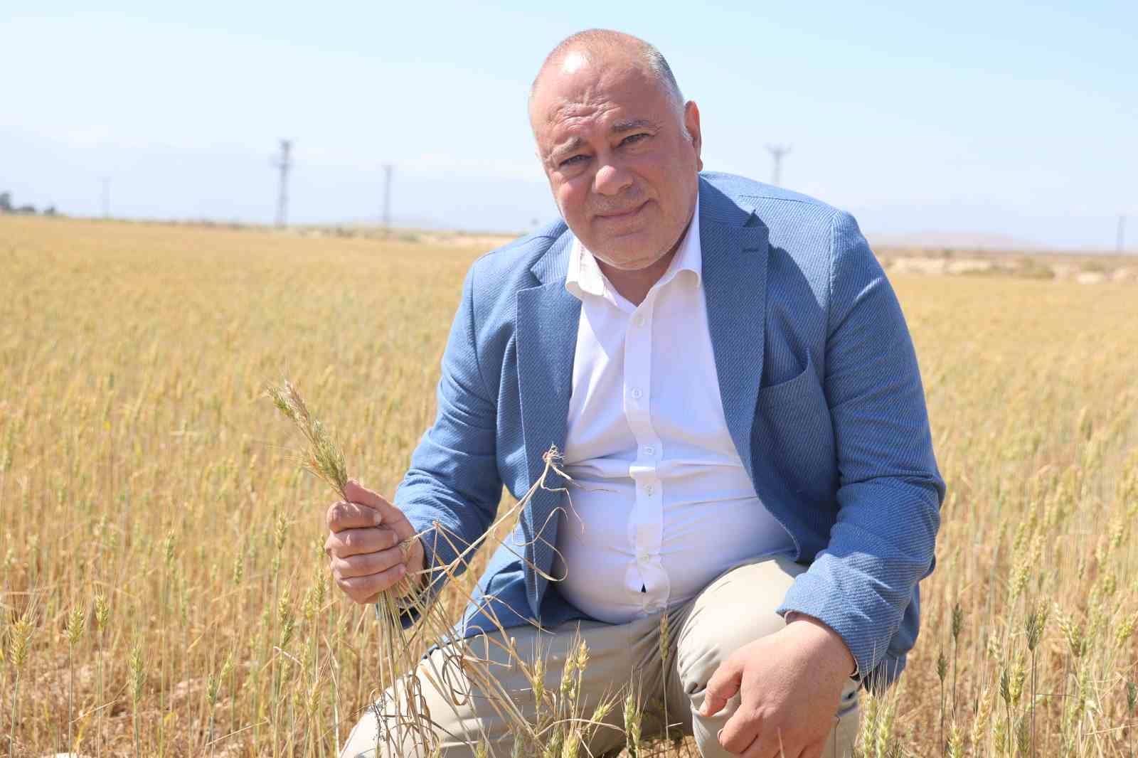 2025/05/kuraklik-nedeniyle-toprakta-yarilmalarin-yasandigi-amik-ovasinda-bugdaylar-hasat-olgunluguna-ulasamadi-20250520AW45-1.jpg