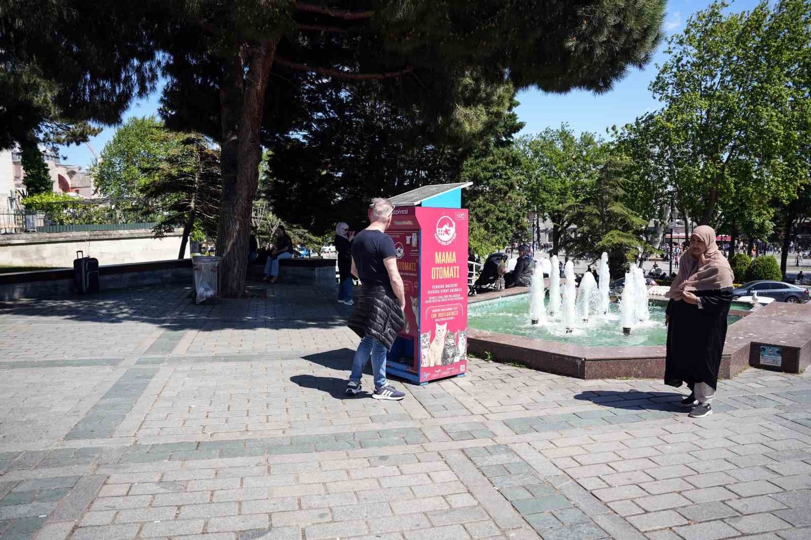 2025/05/sultanahmette-ilginc-goruntuler-mama-pesindeki-martilar-miyavladi-20250515AW45-1.jpg