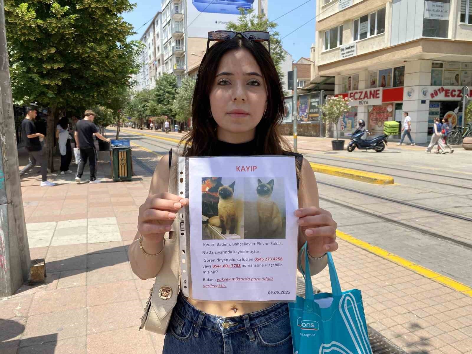 2025/06/eskisehirde-kayip-kedi-badem-icin-bayramda-seferberlik-annesi-gozyaslariyla-ariyor-20250607AW47-1.jpg