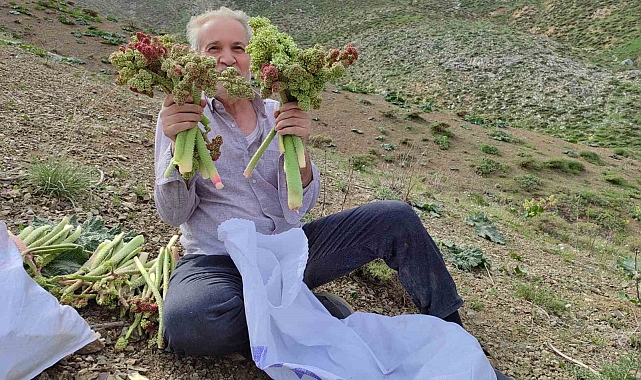 Adıyaman&#039;da ışkın toplamak için Türk Dağına tırmandılar