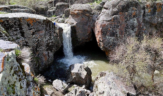 Ağrı’da baharla birlikte canlanan doğa göz kamaştırdı