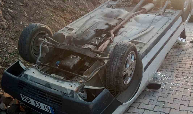 Araçtaki köpeği camdan dışarı çıkmak isteyince kaza yaptı: 1 yaralı