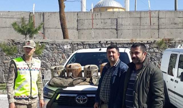 Av kabahati işleyen 4 kişiye 52 bin 500 TL para cezası