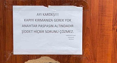 Ayı saldırılarından bıktı, çareyi ayıya not yazmakta buldu