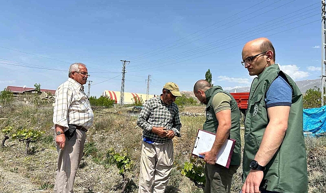 &quot;Bağ Küllemesi Hastalıkları&quot; yüzde 90 verim kaybına yol açabilir