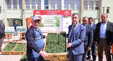 Bayburt'ta üreticilere fide dağıtıldı