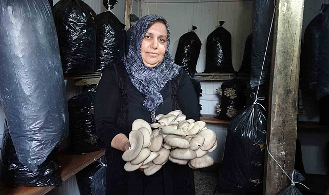 &#039;Bebek gibi bakımlarını yapıyorum&#039; diyen kadın 5 metrekare alanda mantar üretiyor