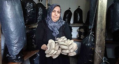 'Bebek gibi bakımlarını yapıyorum' diyen kadın 5 metrekare alanda mantar üretiyor