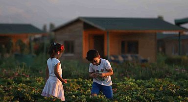 Büyükşehir'de 2 bin 543 adet hobi bahçesi için 22 bini aşkın başvuru