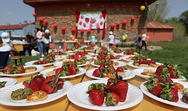 &#039;Çilek Abla&#039; köy okulu öğrencilerini baharla süslenmiş çileklerle buluşturdu