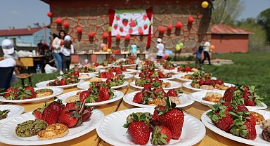 'Çilek Abla' köy okulu öğrencilerini baharla süslenmiş çileklerle buluşturdu