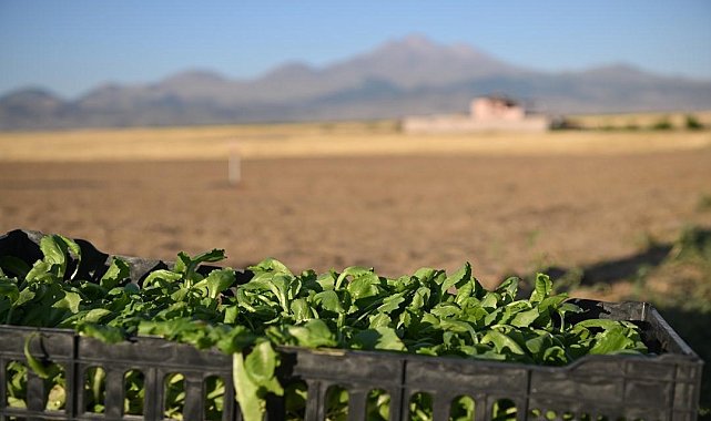 Genç tarım girişimcileri eğitimde
