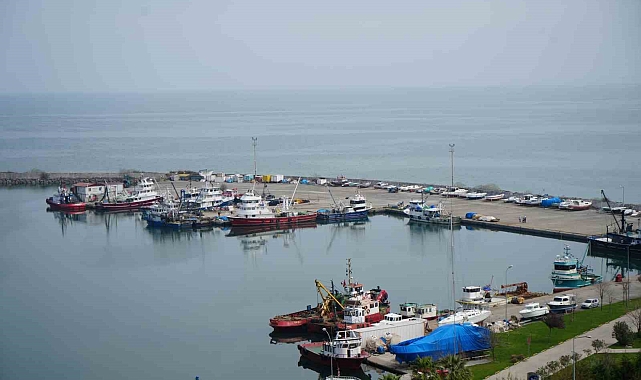 Hayvansal ürün ihracatından milyonlarca döviz Türkiye ekonomisine girdi