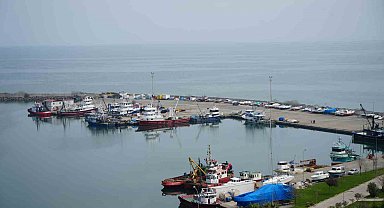 Hayvansal ürün ihracatından milyonlarca döviz Türkiye ekonomisine girdi