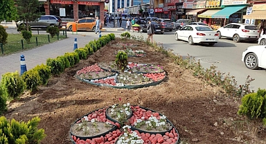 Iğdır’ı çiçeklendirme mesaisi aralıksız devam ediyor