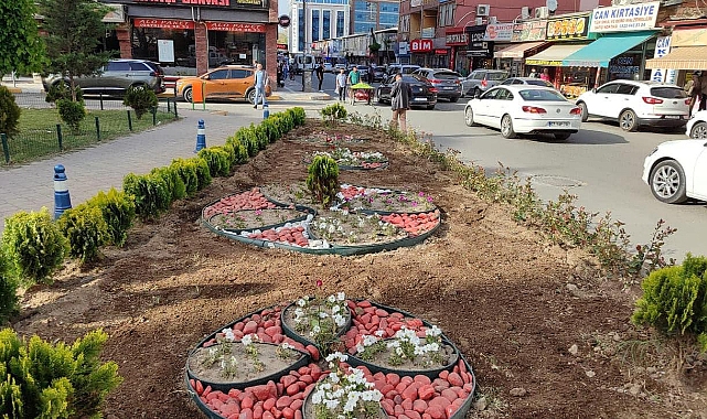 Iğdır’ı çiçeklendirme mesaisi aralıksız devam ediyor