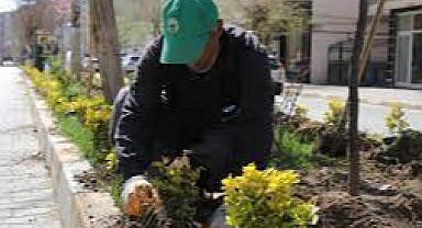 (Videolu Haber) Iğdır sokaklarında yaza hazırlık çalışmaları