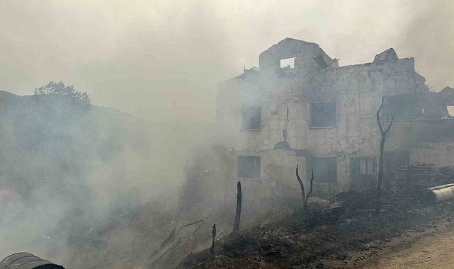Köyde çıkan yangında 3 ev alevlere teslim oldu