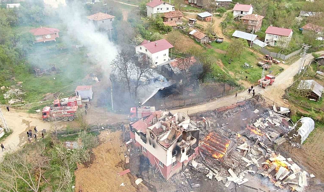 Köyde çıkan yangında çok sayıda yapı küle döndü, 4 hayvan telef oldu