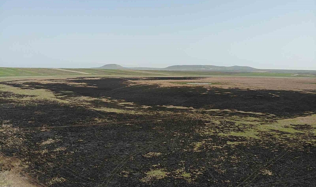 Kuyucuk Gölü tamamen kurudu