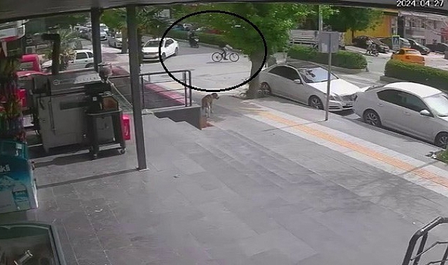 Motosiklet ve bisiklet çarpıştı: 3 yaralı