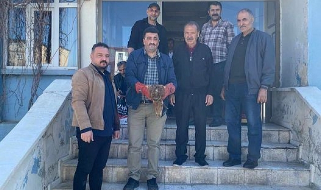 Muş&#039;ta yaralı halde bulunan kartal ekiplere teslim edildi