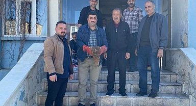 Muş'ta yaralı halde bulunan kartal ekiplere teslim edildi