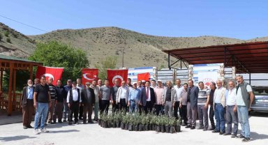 Oltu'da çiftçiye 1300 zeytin fidanı