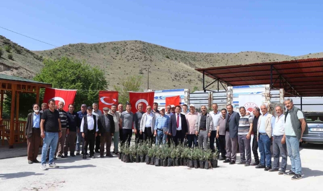 Oltu&#039;da çiftçiye 1300 zeytin fidanı