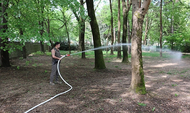 Orman yangınlarına ilk müdahale eğitimi
