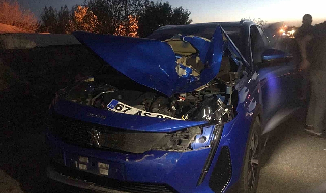 Otomobilin çarptığı inek telef oldu