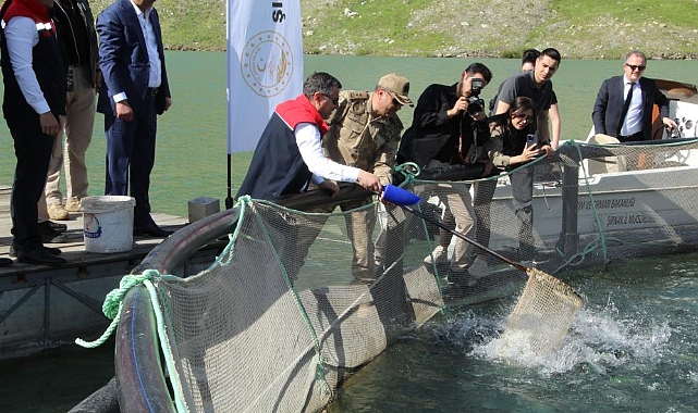 Şırnak&#039;ta kafeslerden 30 ton balık hasat edildi