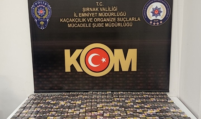 Şırnak&#039;ta asayiş ve terör operasyonu: 46 gözaltı