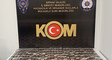 Şırnak'ta asayiş ve terör operasyonu: 46 gözaltı