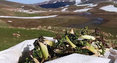 Tuzluca'da Mendık sezonu başladı