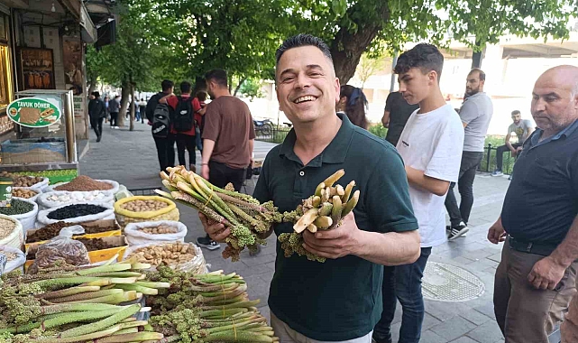 Yayla muzu tezgahlardaki yerini aldı