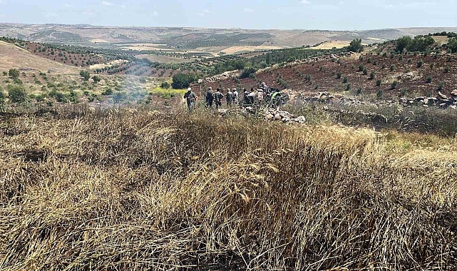15 dönüm alanda çıkan yangın sonucu, ekili buğday kül oldu