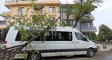 2 araç, fırtınanın devirdiği ağaçların altında kaldı