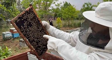 45 yıldır arılarıyla bölgedeki illeri gezip bal üretiyor