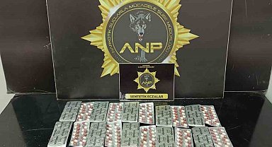 Adıyaman'da Uyuşturucu haplarla yakalanan şahıs tutuklandı