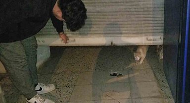 Afacan kedi yüzlerde tebessüm oluşturdu