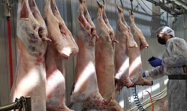 Ağrı&#039;da, kesimhaneler denetlendi