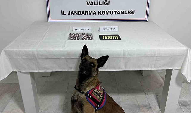 Aile boyu uyuşturucu taciri çıktılar