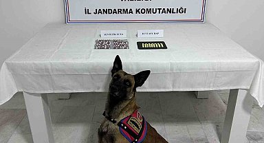 Aile boyu uyuşturucu taciri çıktılar