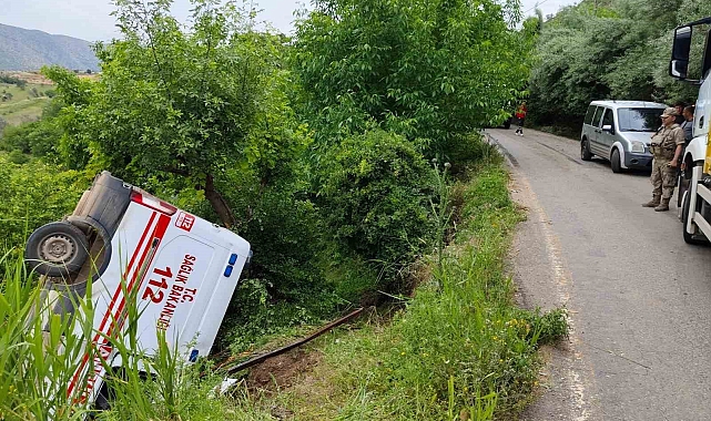 Akrep sokması vakasına giden ambulans kaza yaptı