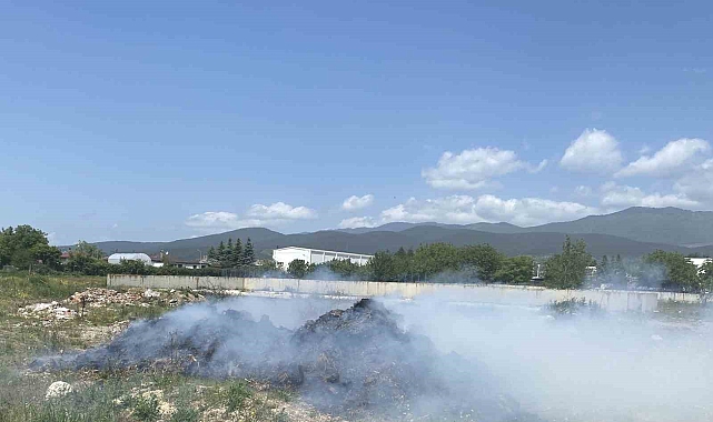 Alev alev yanan samanlara, itfaiye ekipleri müdahale etti