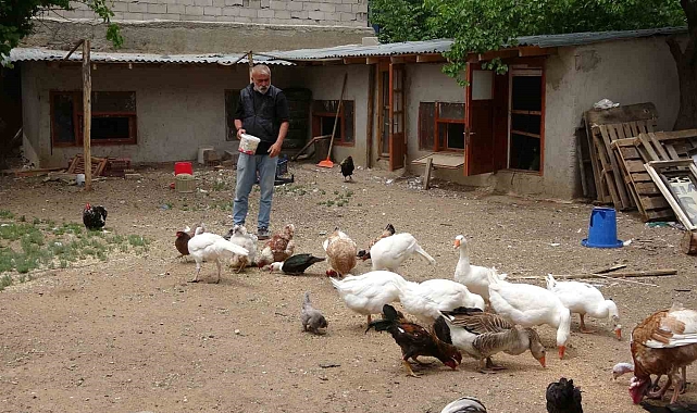 Ali babanın çiftliğini andıran bahçe